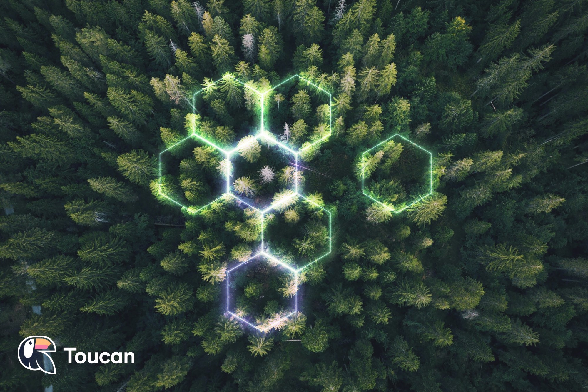 Making carbon markets understandable